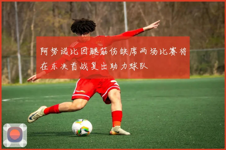 阿努诺比因腿筋伤缺席两场比赛将在东决首战复出助力球队